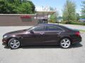 2012 CLS 550 4Matic Coupe #7