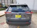 2019 RAV4 XLE #8 2019 RAV4 XLE #8