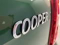 2022 Countryman Cooper -Oxford #8