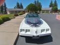 1980 Pontiac Firebird Turbo Trans Am