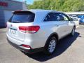 2018 Sorento L #9
