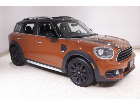 Chestnut Mini Countryman Cooper.  Click to enlarge.