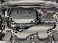  2019 Countryman 2.0 Liter TwinPower Turbocharged DOHC 16-Valve VVT 4 Cylinder Engine #13