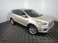 2017 Escape SE #3 2017 Escape SE #3