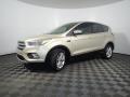 2017 Escape SE #8 2017 Escape SE #8
