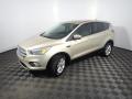 2017 Escape SE #9 2017 Escape SE #9