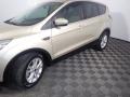2017 Escape SE #10 2017 Escape SE #10