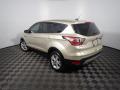 2017 Escape SE #12 2017 Escape SE #12
