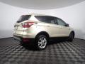 2017 Escape SE #16 2017 Escape SE #16