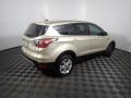 2017 Escape SE #17 2017 Escape SE #17