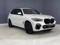 Front 3/4 View of 2021 BMW X5 M50i #28