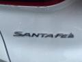 2021 Santa Fe Calligraphy AWD #6