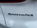 2021 Santa Fe SEL AWD #5
