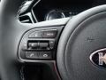  2021 Kia Niro EV Steering Wheel #19