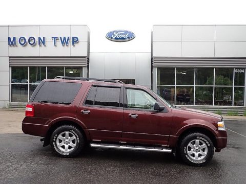 Royal Red Metallic Ford Expedition XLT 4x4.  Click to enlarge.
