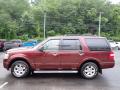 2010 Expedition XLT 4x4 #6