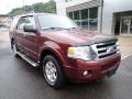 2010 Expedition XLT 4x4 #9