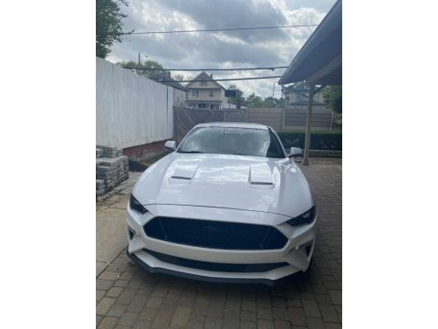 Oxford White Ford Mustang EcoBoost Premium Fastback.  Click to enlarge.