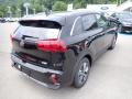 2021 Niro LXS Hybrid #2