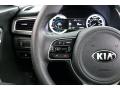  2018 Kia Niro LX Hybrid Steering Wheel #21