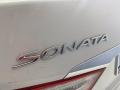 2013 Sonata Limited #11
