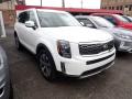 2020 Telluride S AWD #2 2020 Telluride S AWD #2