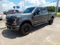 2020 F250 Super Duty Lariat Crew Cab 4x4 Tremor Off-Road Package #2