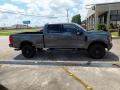 2020 F250 Super Duty Lariat Crew Cab 4x4 Tremor Off-Road Package #12