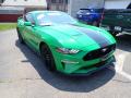  2019 Ford Mustang Need For Green #3