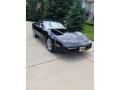 1989 Corvette Coupe #8