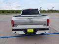 2020 F150 Platinum SuperCrew 4x4 #6