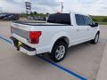 2020 F150 Platinum SuperCrew 4x4 #7