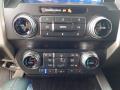 2020 F150 Platinum SuperCrew 4x4 #23
