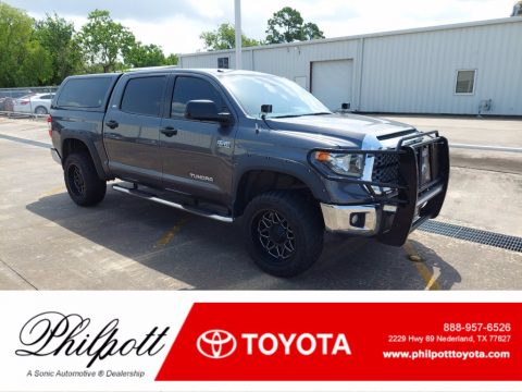 Cement Toyota Tundra SR5 CrewMax 4x4.  Click to enlarge.