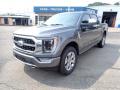 2021 F150 Platinum SuperCrew 4x4 #5