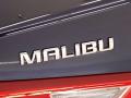 2017 Malibu LT #10