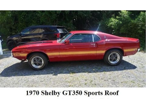 Candy Apple Red Ford Mustang Shelby GT350 Fastback.  Click to enlarge.