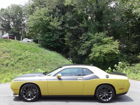 Gold Rush Dodge Challenger T/A.  Click to enlarge.