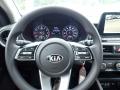 2021 Forte LXS #18