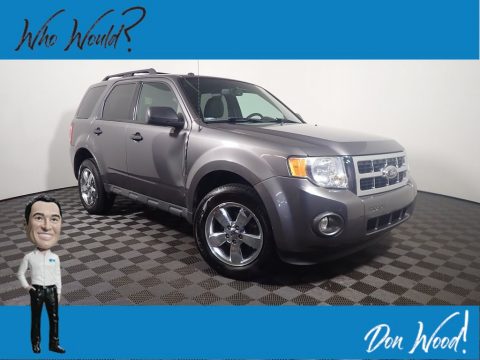 Sterling Gray Metallic Ford Escape XLT 4WD.  Click to enlarge.