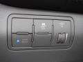 Controls of 2015 Hyundai Accent GLS #11