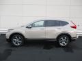 2019 CR-V EX AWD #2 2019 CR-V EX AWD #2