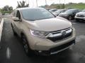 2019 CR-V EX AWD #8 2019 CR-V EX AWD #8