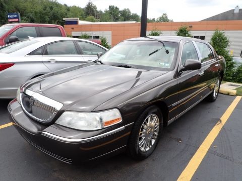 Charcoal Beige Metallic Lincoln Town Car Designer Series.  Click to enlarge.