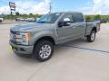 Front 3/4 View of 2019 Ford F250 Super Duty Platinum Crew Cab 4x4 #3