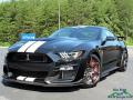 2021 Ford Mustang Shelby GT500 Shadow Black