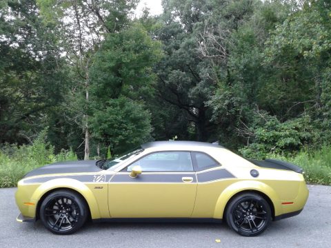 Gold Rush Dodge Challenger R/T Scat Pack Widebody.  Click to enlarge.