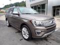  2018 Ford Expedition Stone Gray #9