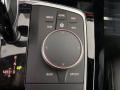 Controls of 2022 BMW X4 xDrive30i #24