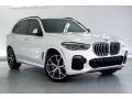 Front 3/4 View of 2019 BMW X5 xDrive40i #34